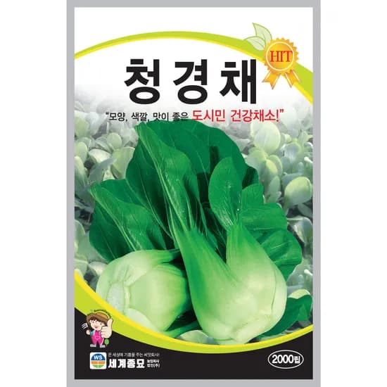 세계종묘 청경채 씨앗 2000립 1개