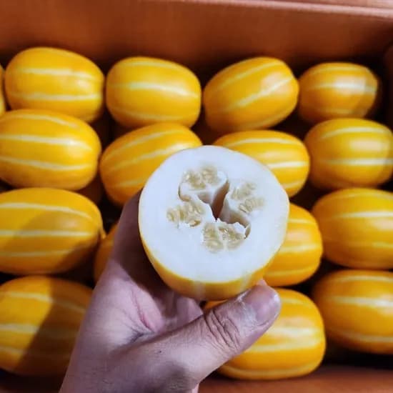 성주 꿀참외 소과 가정용 실속형 2kg 1박스