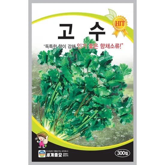 세계종묘 고수 씨앗, 300립, 1개