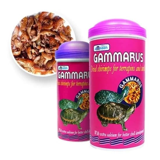 아마존 거북이 고단백 사료 감마루스, 1g, 1개