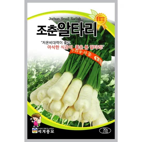 세계종묘 조춘 알타리무 씨앗 30g 1개
