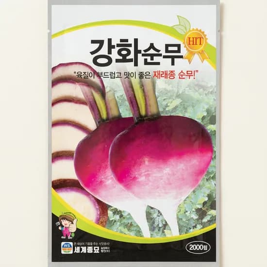 세계종묘 강화순무 2000립 1개