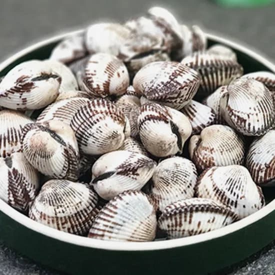 마파람수산 벌교 새꼬막 80마리 내외 2kg 1박스
