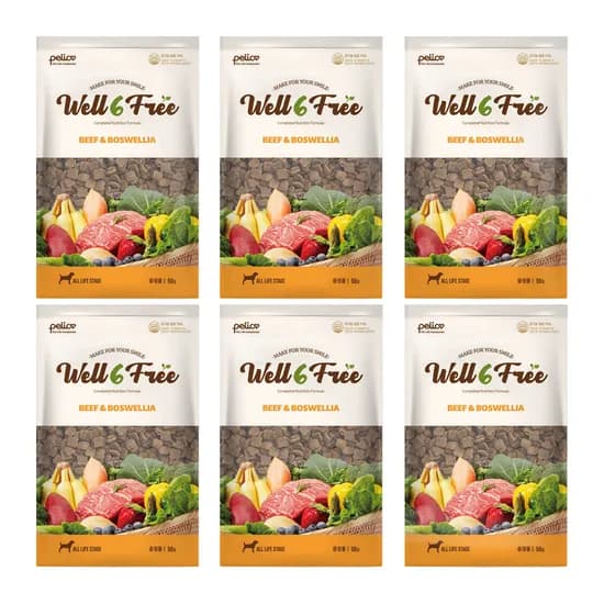 펠리코 강아지 사료 샘플 웰식스프리 소고기, 50g, 6개