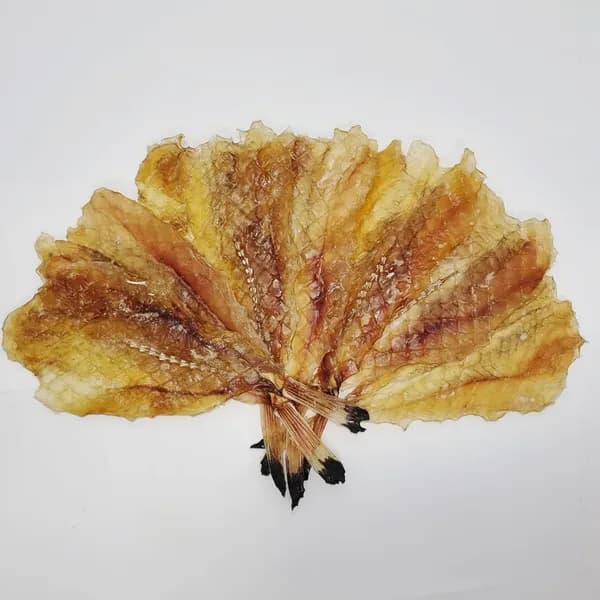 동명상회 꼬리 아귀포 1kg 1봉