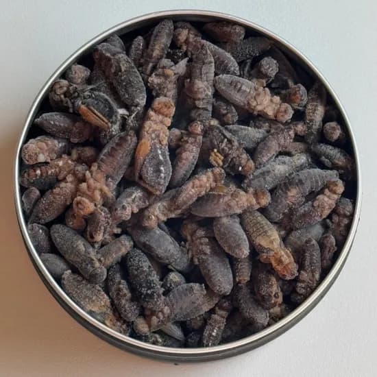 키우다 냉뚜리 대사이즈 햄스터 도마뱀 먹이 45g 100마리 1개 14,000원