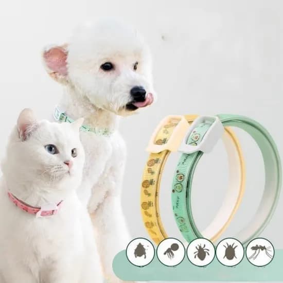 르와핏 강아지 고양이 진드기 해충방지 목걸이 기피제, 그린, 36ml, 1세트