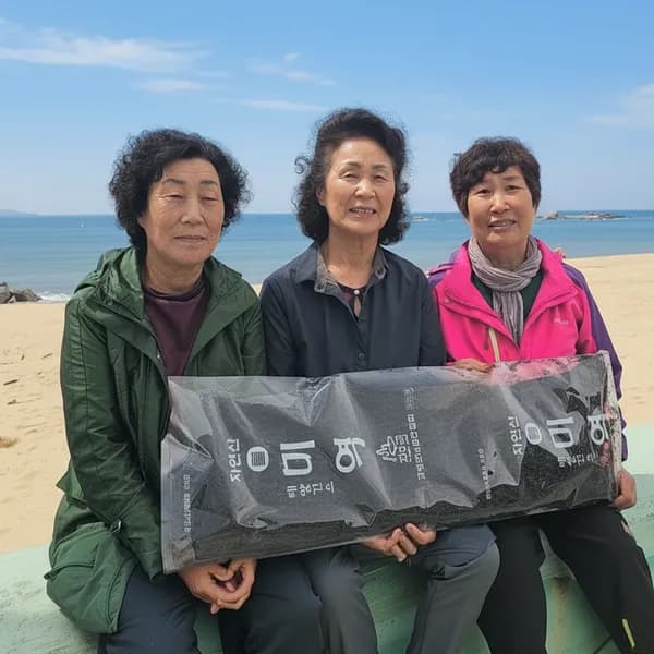 청정NLL미역 2026 돌미역 특품 300g 1개