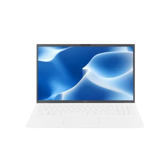 LG전자 그램 15인치 15ZD90RU-GX54K, 화이트, 1TB, 16GB, WIN11 Pro, 1개