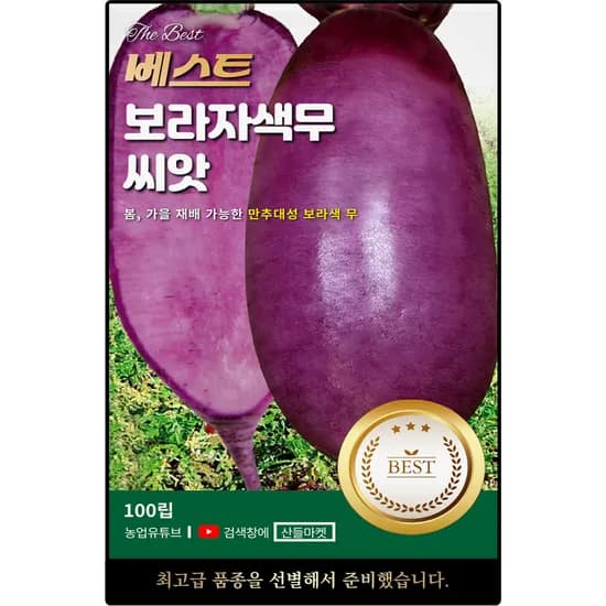 씨앗마켓 베스트 보라자색 무 씨앗, 100립, 1개