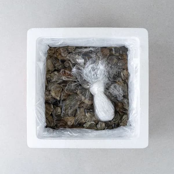 활 바지락 3kg 1개 22,400원