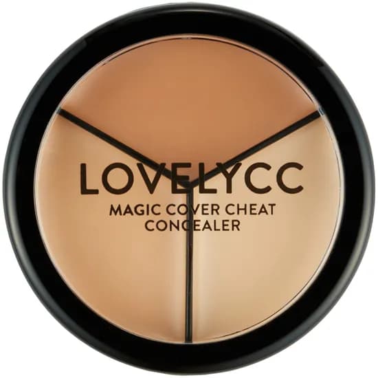 러블리씨씨 매직 커버 치트 컨실러 01 Contouring 12g 1개