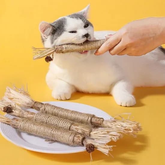 치석제거 이갈이장난감 마따따비, 브라운, 2개입, 1개
