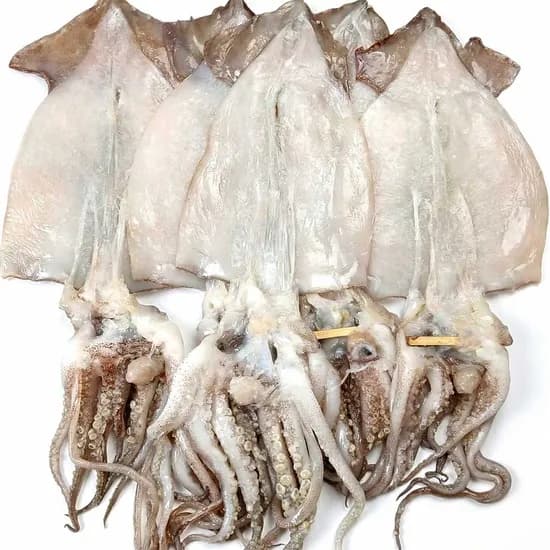 동해안 반건조 오징어 원양산 반건조 950g 5마리 1개