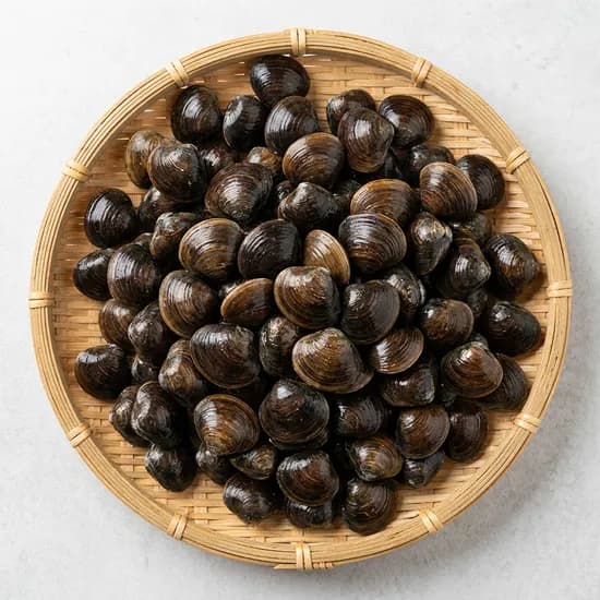 다이버수산 국내산 활 재첩 1kg 1개