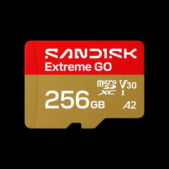 샌디스크 Extreme micro Class10 마이크로SD 카드, 256GB, 1개