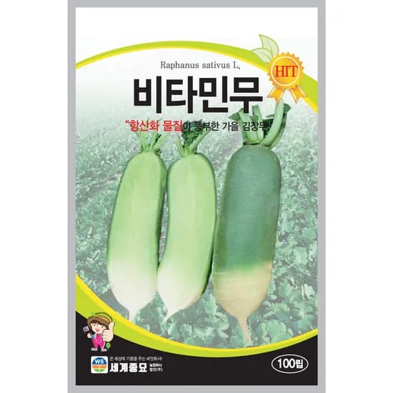 세계종묘 비타민무 100립 1개