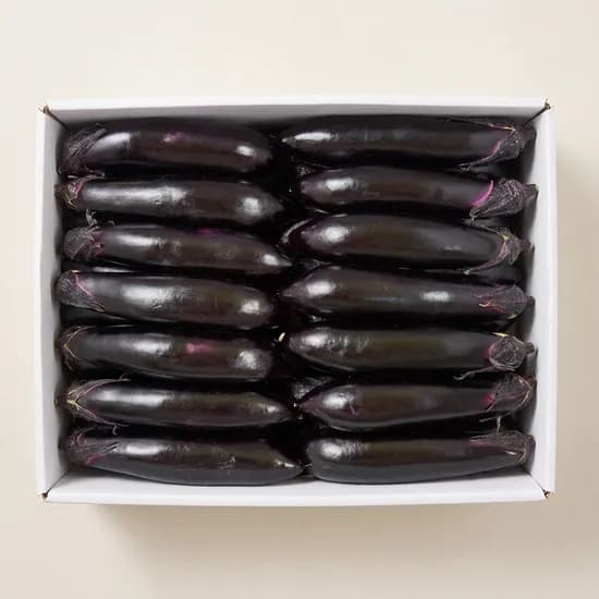 국내산 가지 특품 2kg 1개