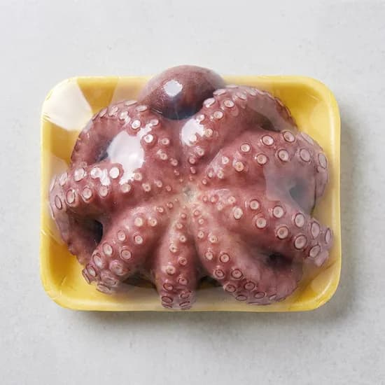 국내산 자연산 돌문어 생물 1.2kg 1마리