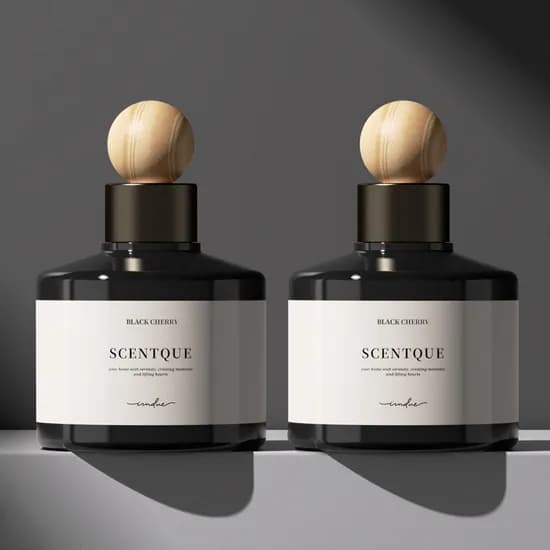 센트큐 차량용 방향제 디퓨저, 베르가못 시더, 200ml, 2개