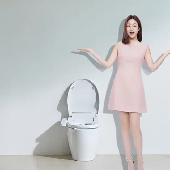 블루밍 비데, IPX500A PLUS, 고객직접설치, 1개