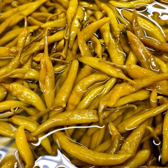 밥앤찬 염장초 고추지 1kg 1개