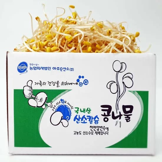 이조은산소 무농약 산소 칼륨 콩나물, 1kg, 1개