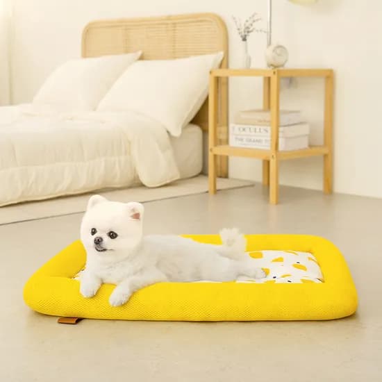 레토 강아지 고양이 쿨매트 방석 LDC-C04, LDC-C04 옐로우, 73cm, 1개