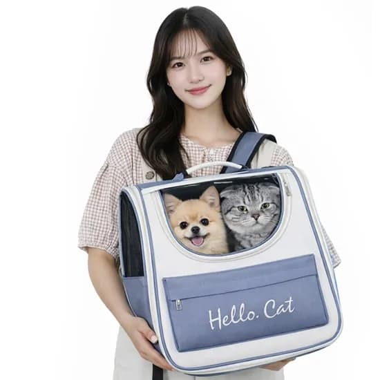 에이멀 반려동물 이동장, 블루, one, 1개