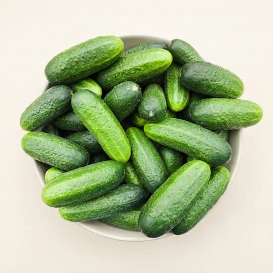 국내산 미니오이 2kg 1개