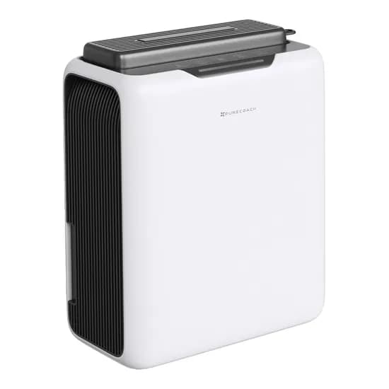 퓨어코치 제습기, DH2500D, 1개