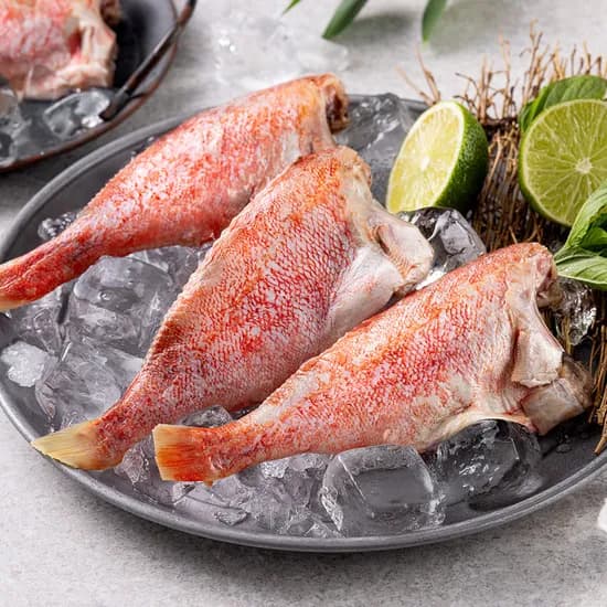 손질 냉동 열기 볼락, 8-12미, 1kg 내외, 1개