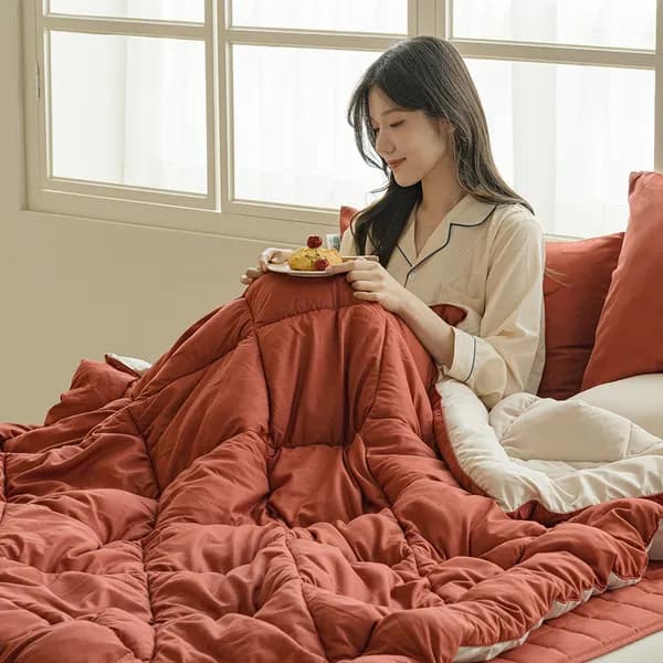 보넬라 양면 피치스킨 베이직 차렵이불 3종 풀세트 버건디 퀸 Q