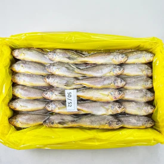 해물총각 냉동 참조기 52마리 내외 2.5kg
