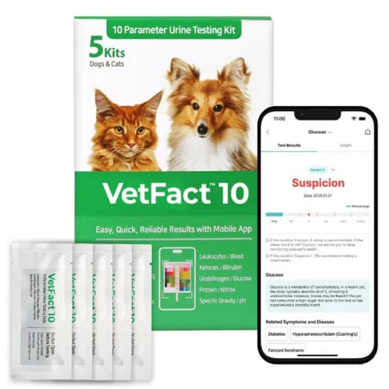 벳팩트 소변 종합검사 키트 10종 5회분 10g 1개
