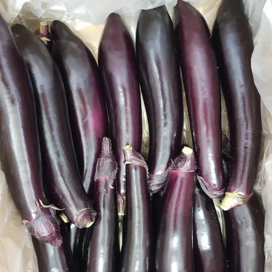 국내산 가지 가정용 상등급, 2kg, 1개