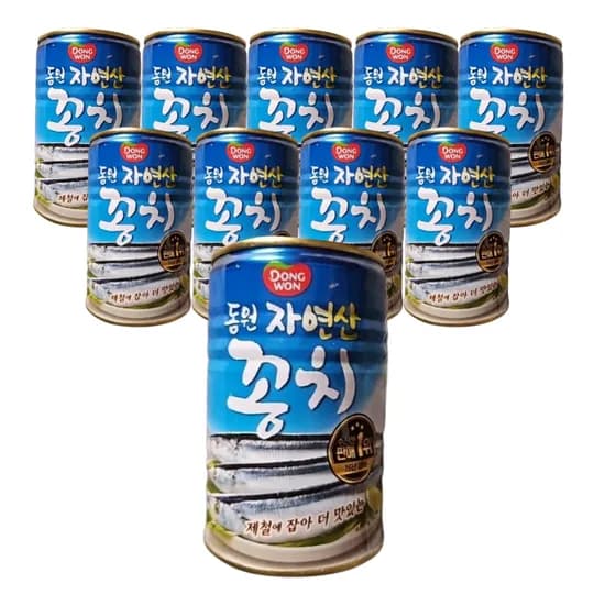 동원 자연산 꽁치 통조림 300g 10개