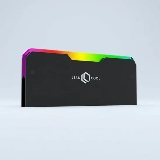 LEADCOOL RH-1 EVO 메모리 방열판 블랙 1개