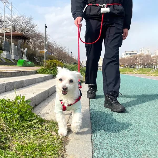 나마스펫 강아지 핸즈프리 베이직 로프 빛반사 리드줄 블랙 2.8m