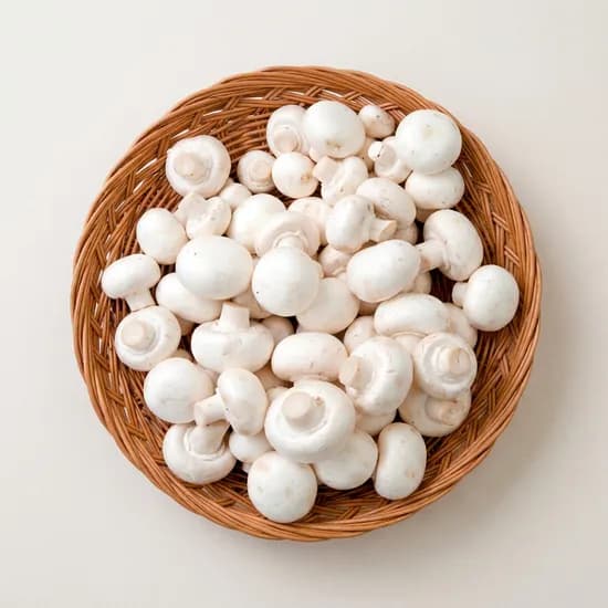 보령 양송이버섯 못난이 1kg 1개