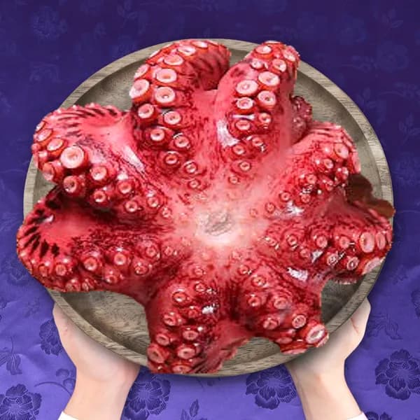 세척손질 자숙문어 600g 1개 19,800원