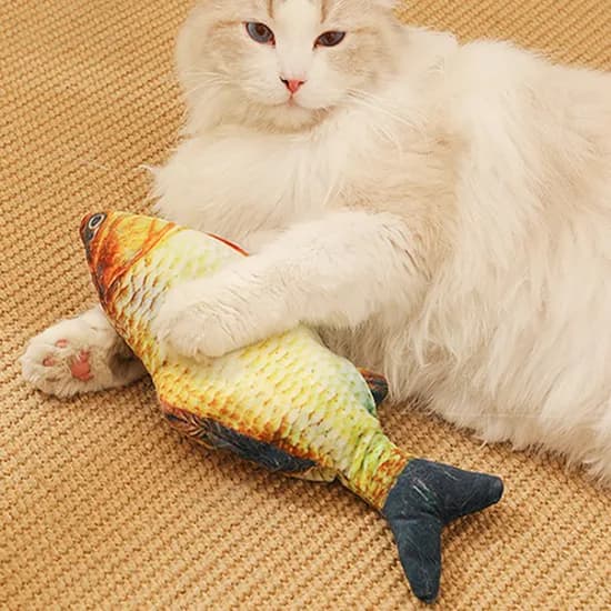 신나는 생선, 붕어, 1개