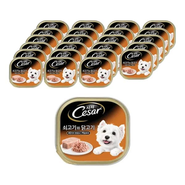 시저 강아지 캔 소+닭고기 100g 24개 1박스 32,200원