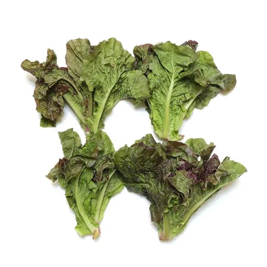 쫑상추, 절이지 상추, 1kg, 1박스