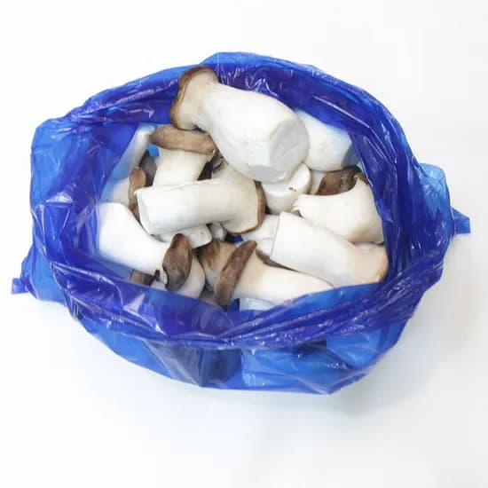 새송이, 보통, 2kg, 1박스