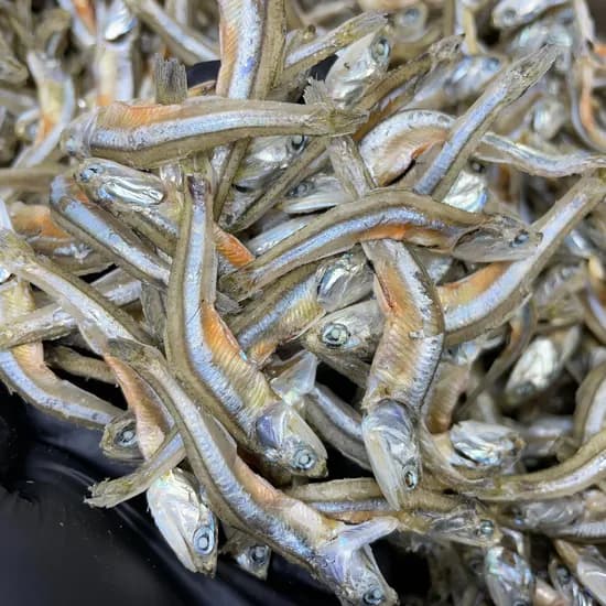 새우멸치, 100g, 2개