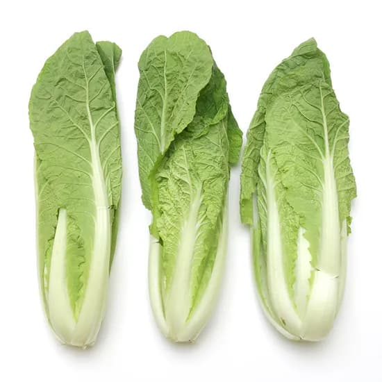 얼갈이 4kg 1박스