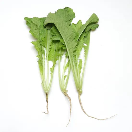 열무 4kg 1박스