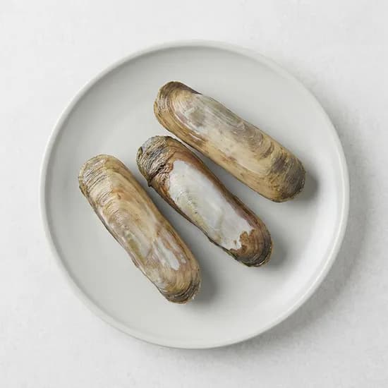 홍지수산 맛조개 1kg 1개