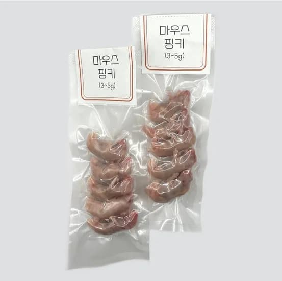 쥐선생 냉동마우스, 4g, 10개